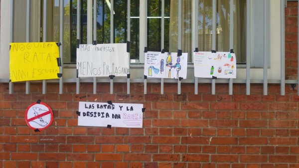Fotos y videos que denuncian la invasión de ratas en una escuela de la ...