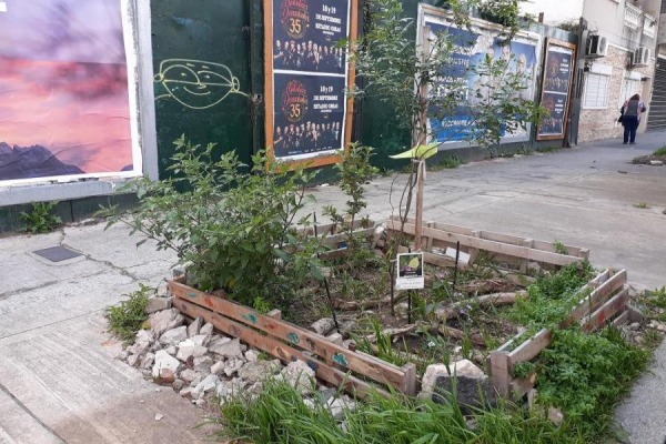 La Ciudad necesita medio millón de árboles, espacios verdes y plantas ...