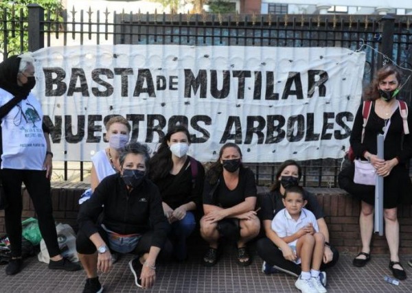 Vecinos buscan detener la tala de árboles con un abrazo simbólico en el ...